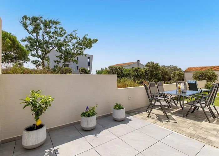 Angelika's White Blue * Mandre